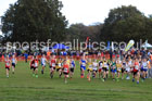 Boys Under-14s 2026 Northern Cross Country Relays, Graves Park, Sheffield. Photo: David T. Hewitson/Sports for All Pics